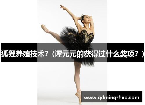 狐狸养殖技术？(谭元元的获得过什么奖项？)