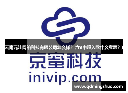 云南元沣网络科技有限公司怎么样？(fm中超入欧什么意思？)